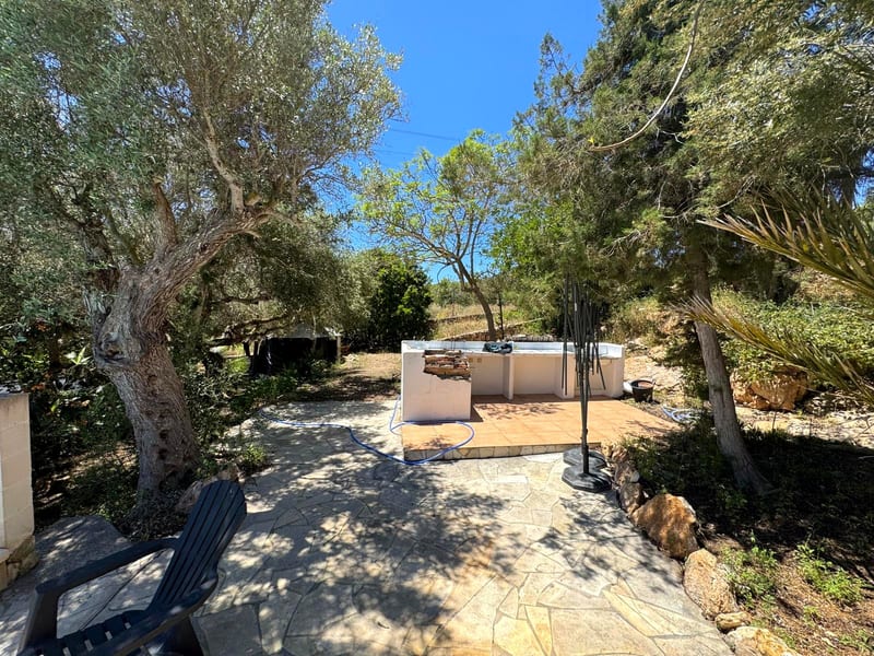 The grounds