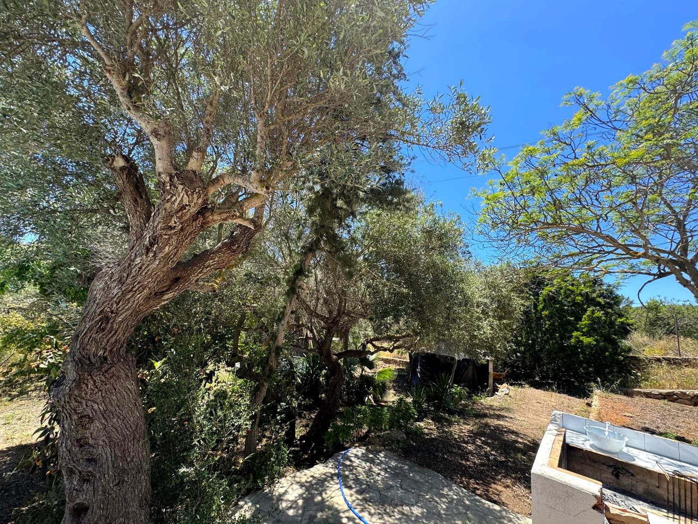 10,000 m² of privacy